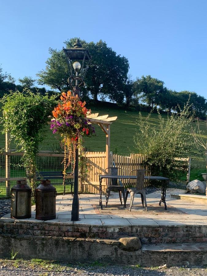 Molehill Lodge Swansea Kültér fotó