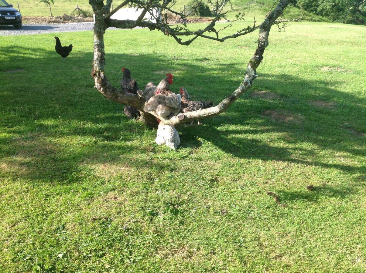 Molehill Lodge Swansea Kültér fotó