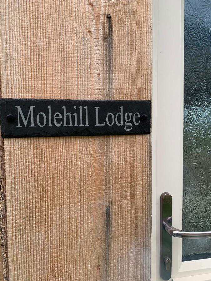 Molehill Lodge Swansea Kültér fotó