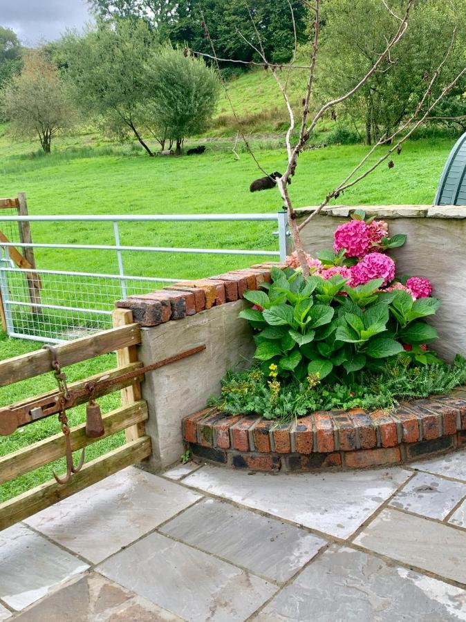 Molehill Lodge Swansea Kültér fotó