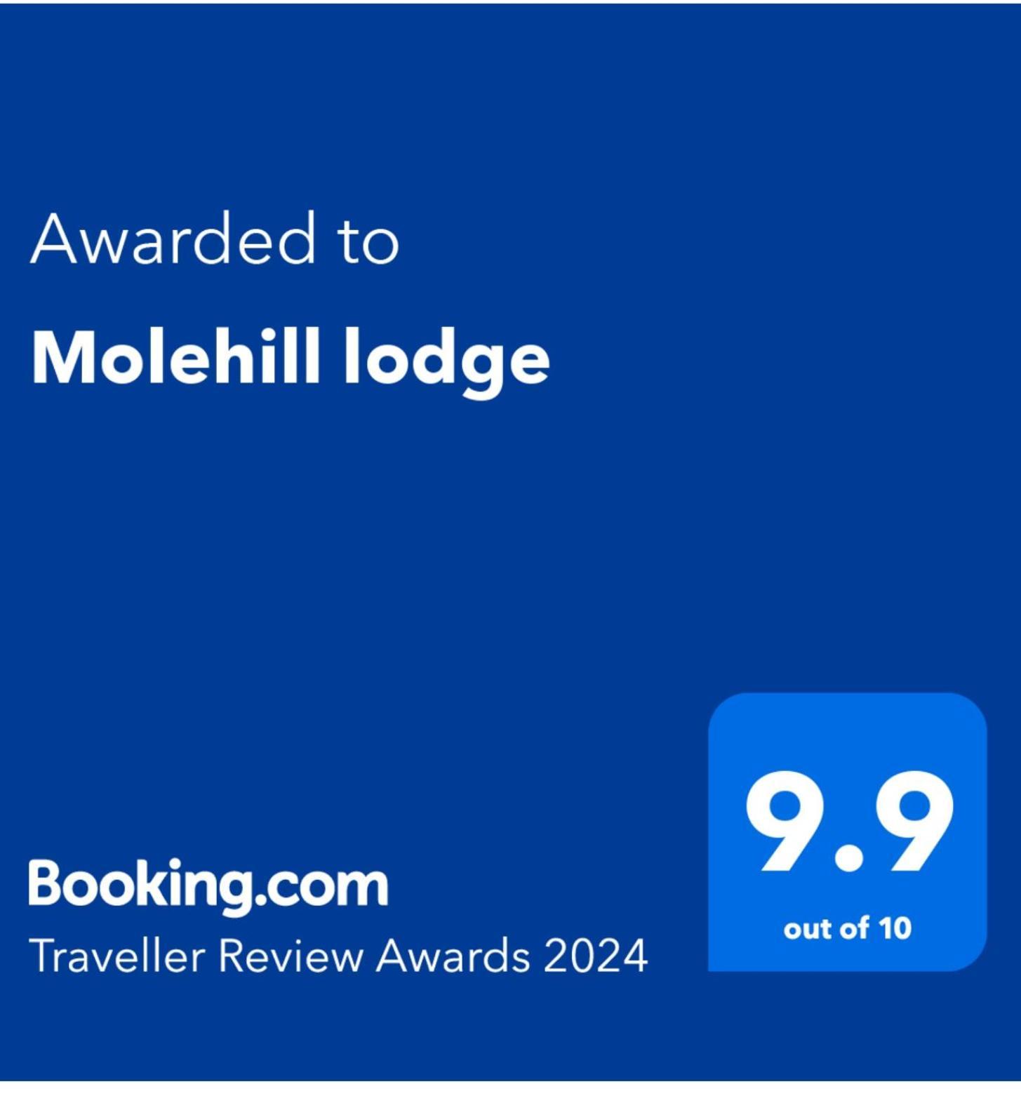 Molehill Lodge Swansea Kültér fotó