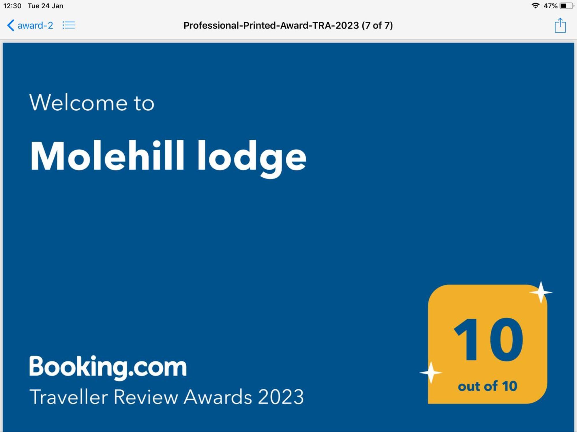 Molehill Lodge Swansea Kültér fotó